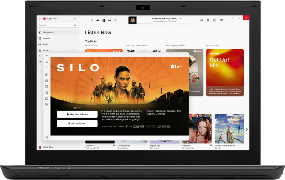 iTunes app on Windows