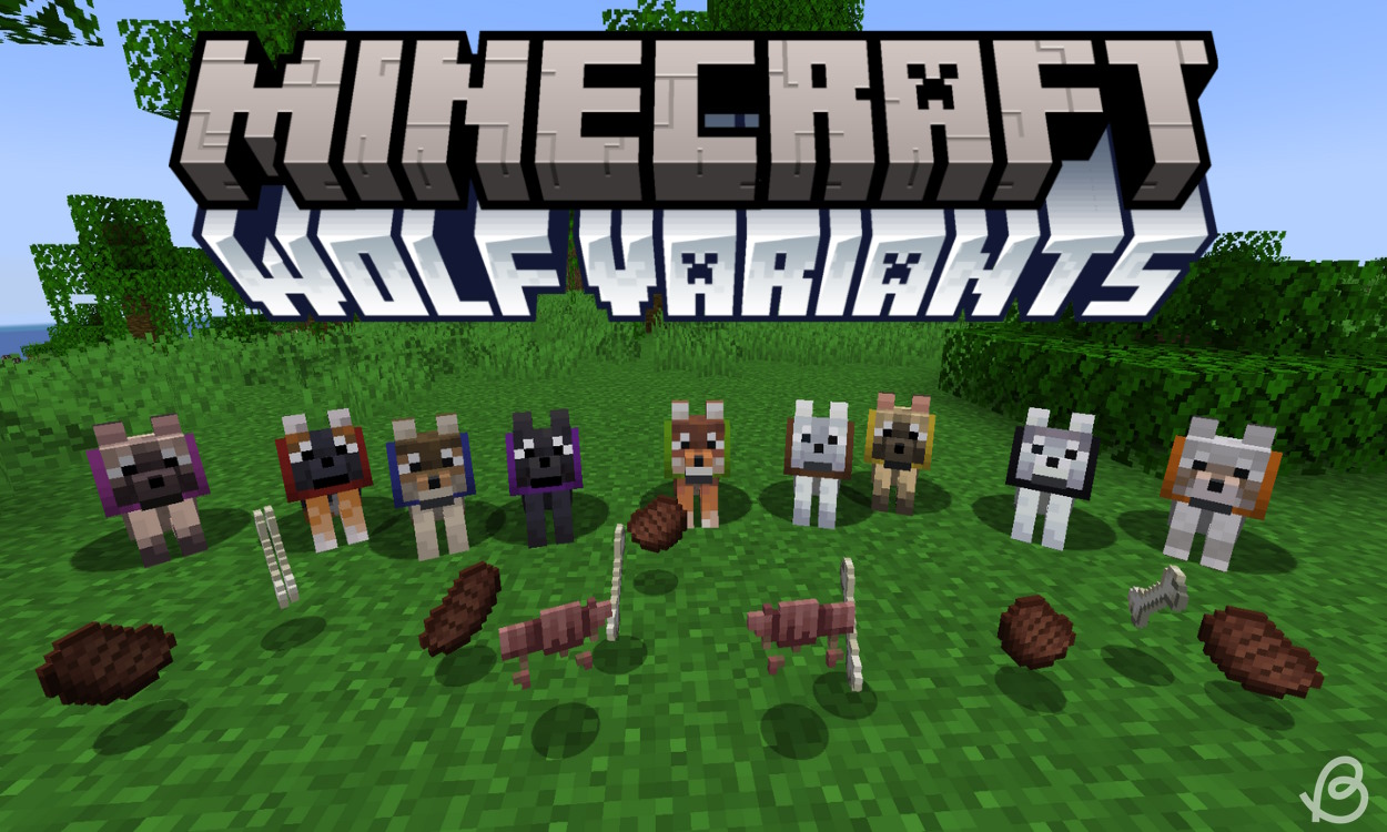 All Wolf (Dog) Variants in Minecraft and Where to Find Them